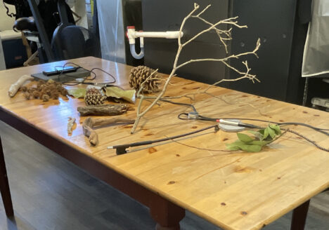 table covered in plants